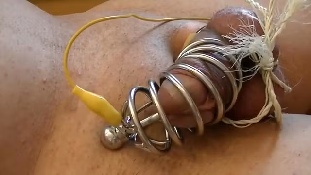 electro estim: cock-in-metall-cage auto-dilated very short