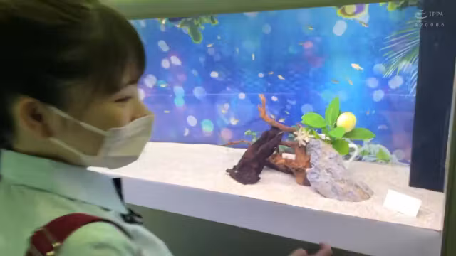 0005692_JAV_JapaneseAV_Censored_MGS_19min