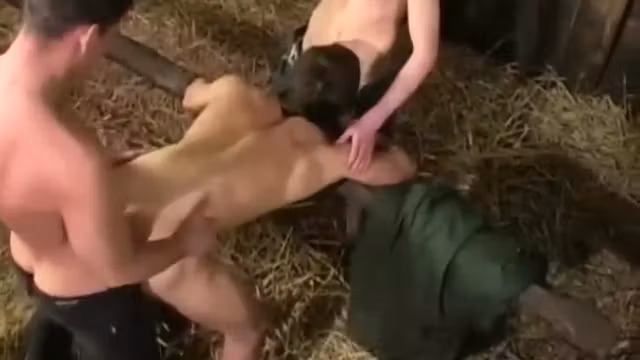 Juicy BB Farmboys III