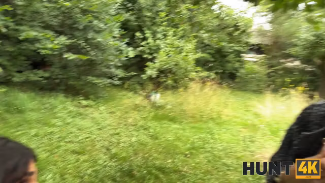 Sexame Street's Follow That Bird - Vip4k