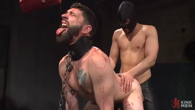 Jackson Fillmore - For Electrified, Humiliated & Fucked