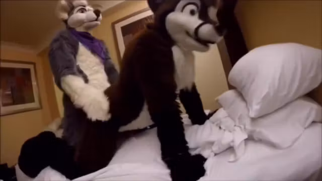 Murrsuit Sex Compilation