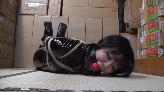 Secret Agent Nene boxed up