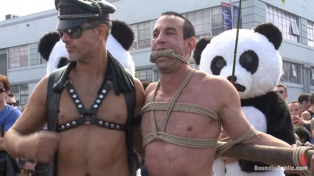 Bound in Public. Naked Pandas Trick or Treat Just in time for Halloween