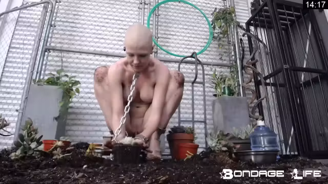 Bondagelife - Gardening With Greyhound