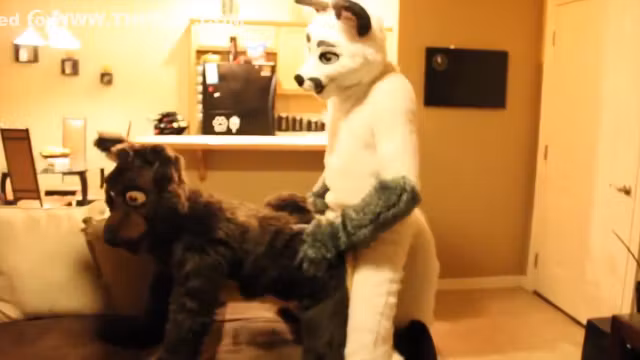 Fursuit sex 17