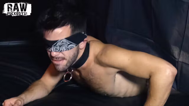 Koda & Riley - Chapter 2 - Bareback Plus