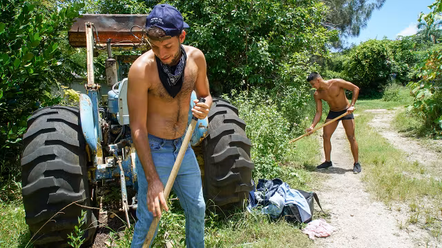 Working Up a Sweat - FamilyDick