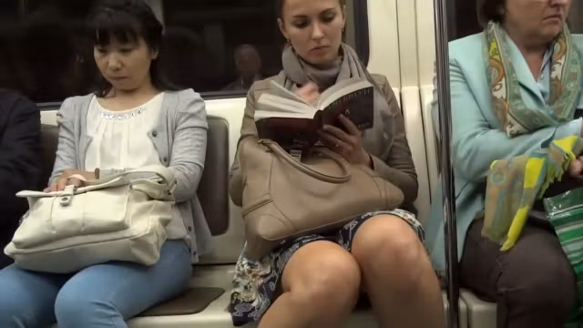 Upskirt in the train