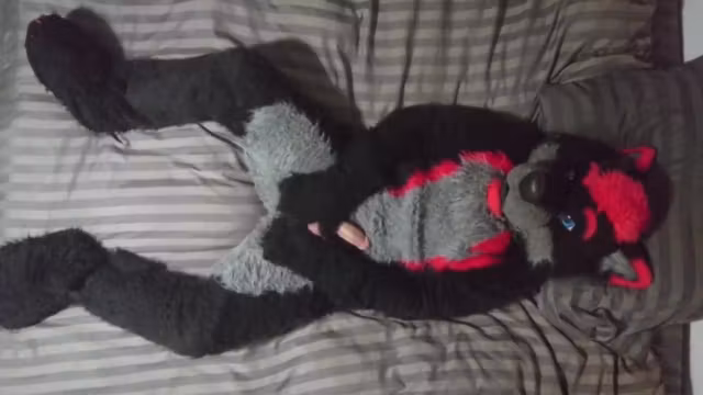 Sexy Fursuit Stripping