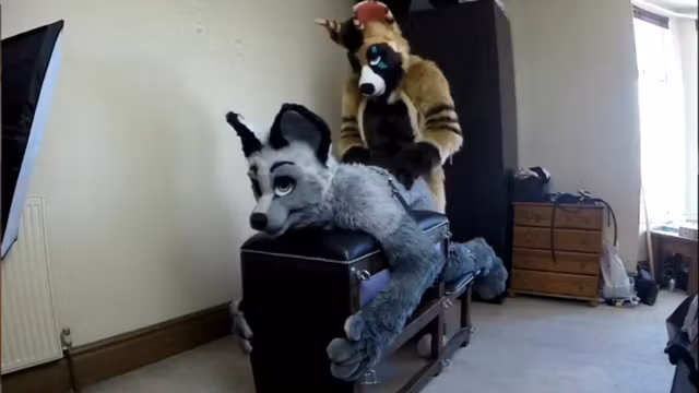 Fursuit sex 66