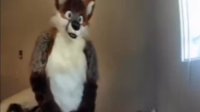 Fursuit sex 136