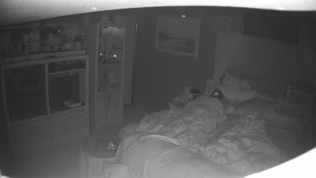 Amateur Wife caught masturbating night vision 1